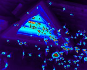 ecology thermal 2.jpg