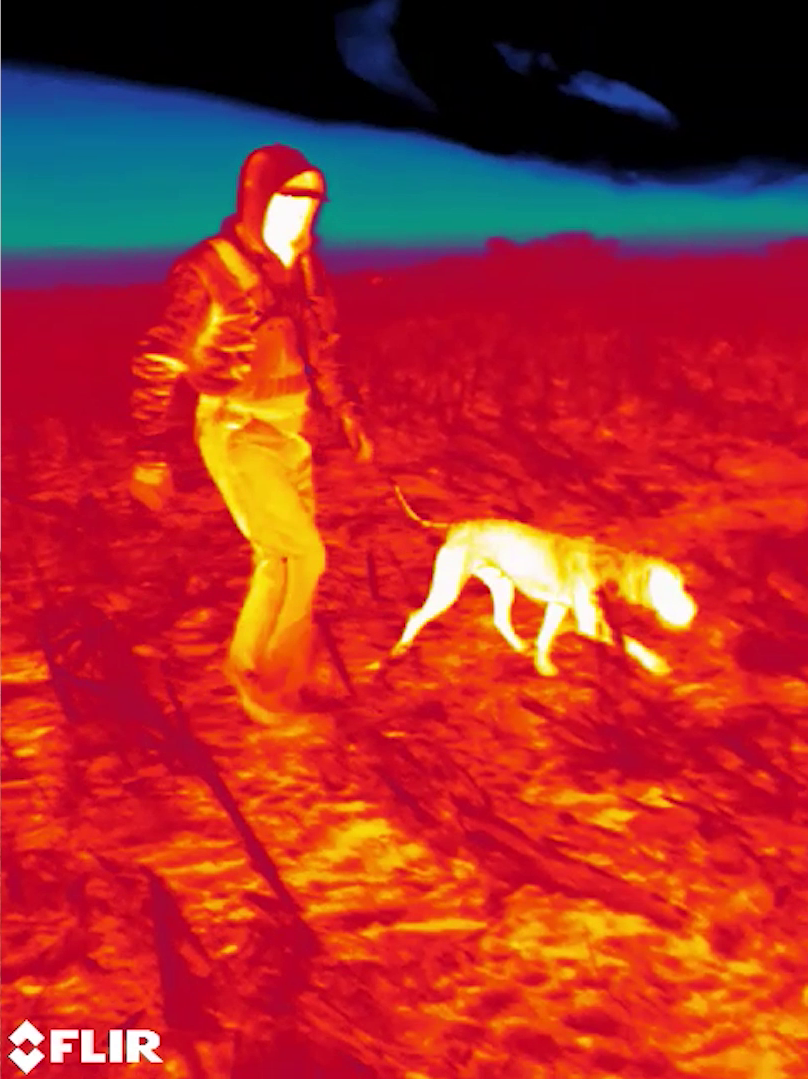 dog kennel thermal walking.png