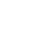 tick
