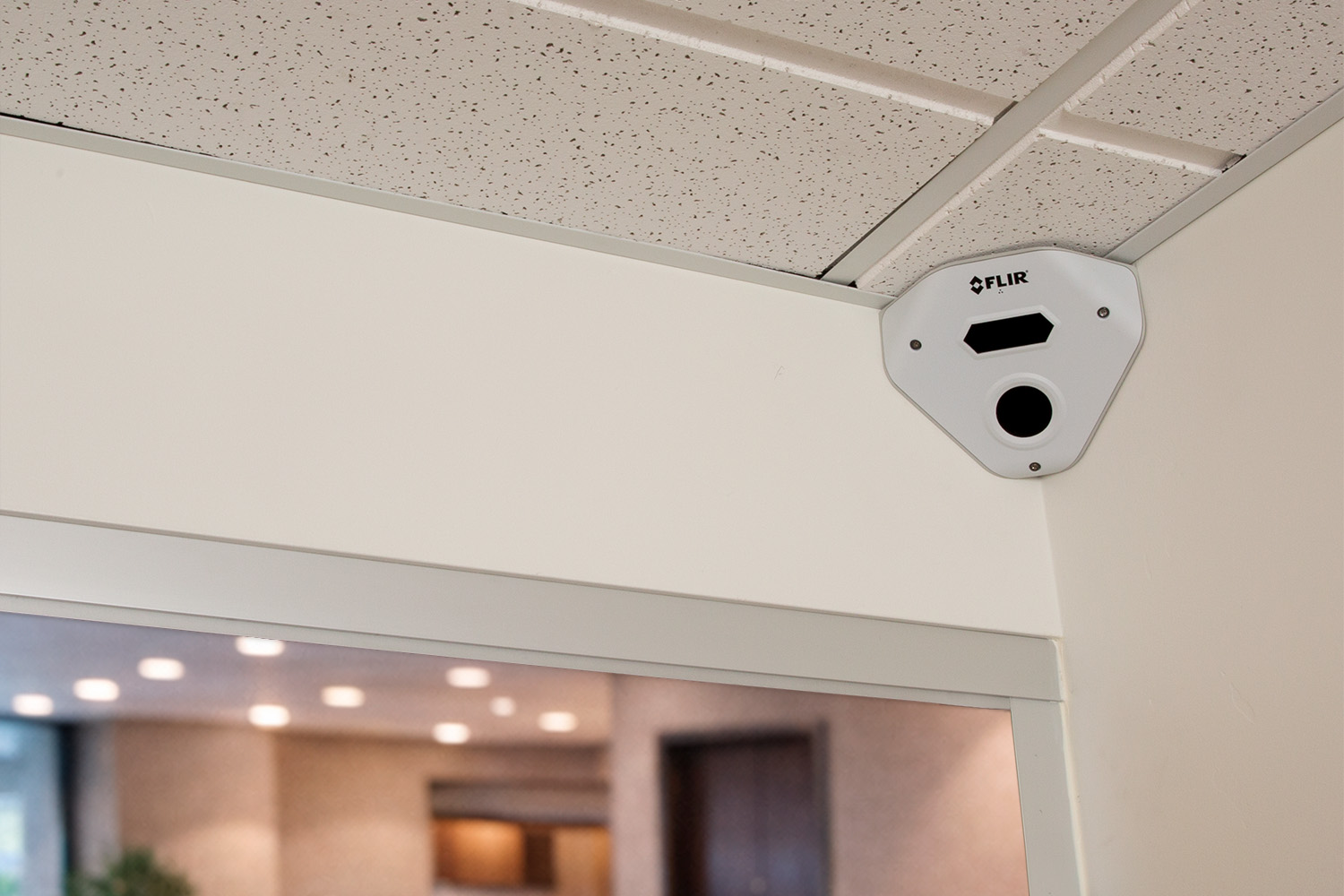 Product showcase image