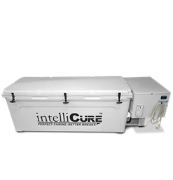 intelliCure Mega Curing Box
