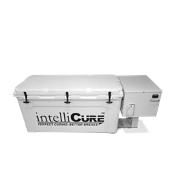 intelliCure Mini Curing Box