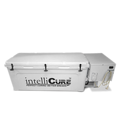 intelliCure Standard Curing Box