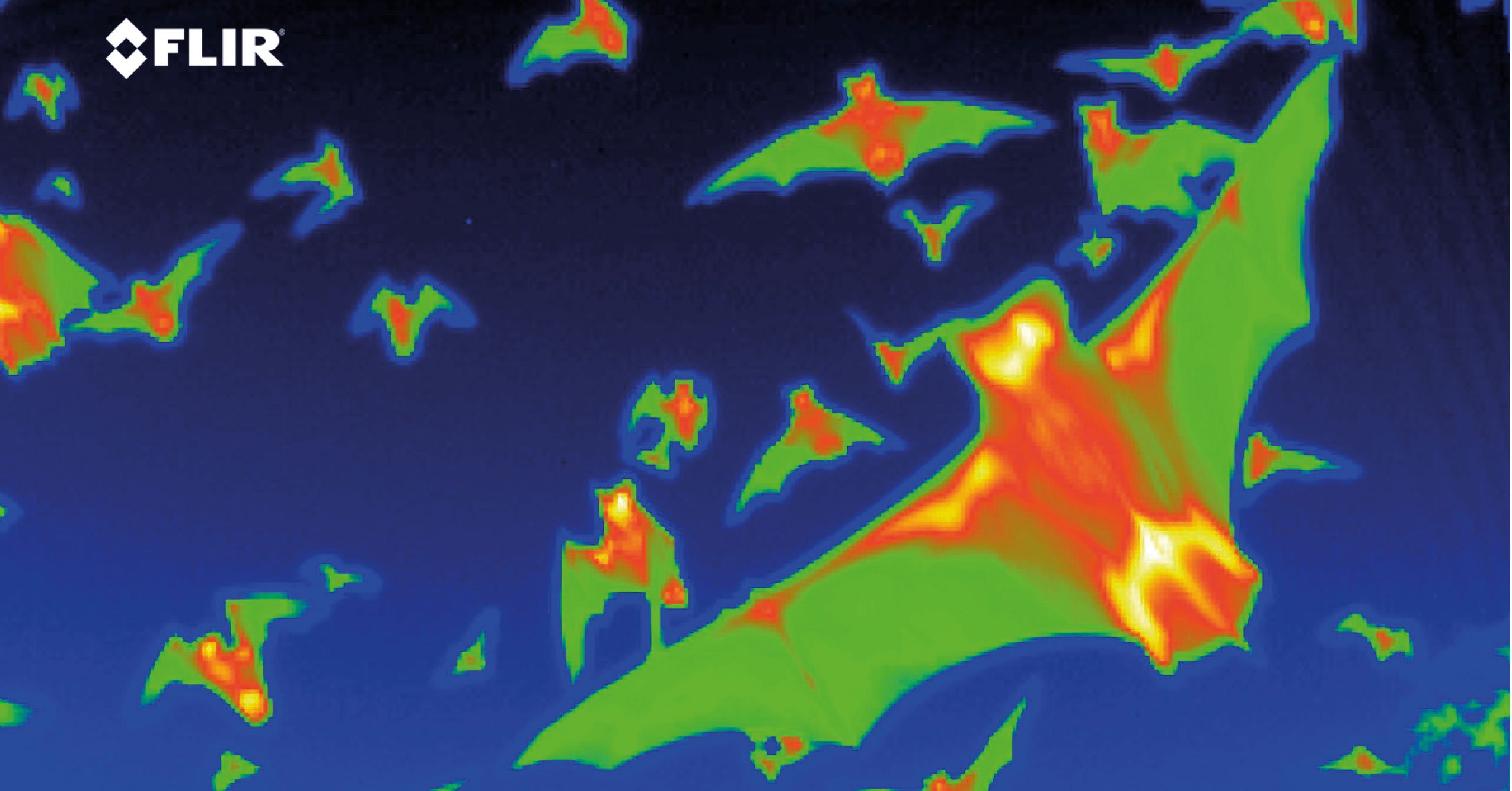 What's The between Thermal Imaging and Night Vision? | Teledyne