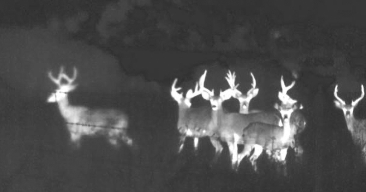 Infrared drone for shop hunting