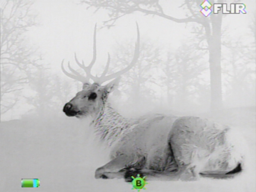 Scout-III_Elk_Black-hot.jpg