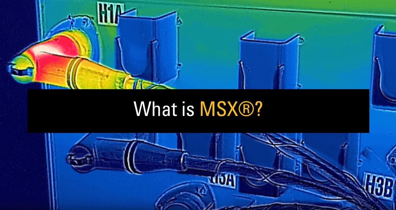 WHAT IS FLIR MSX®?