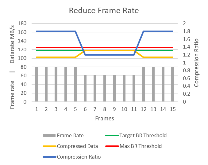 TAN2021001-Reduce-Frame-rate.png