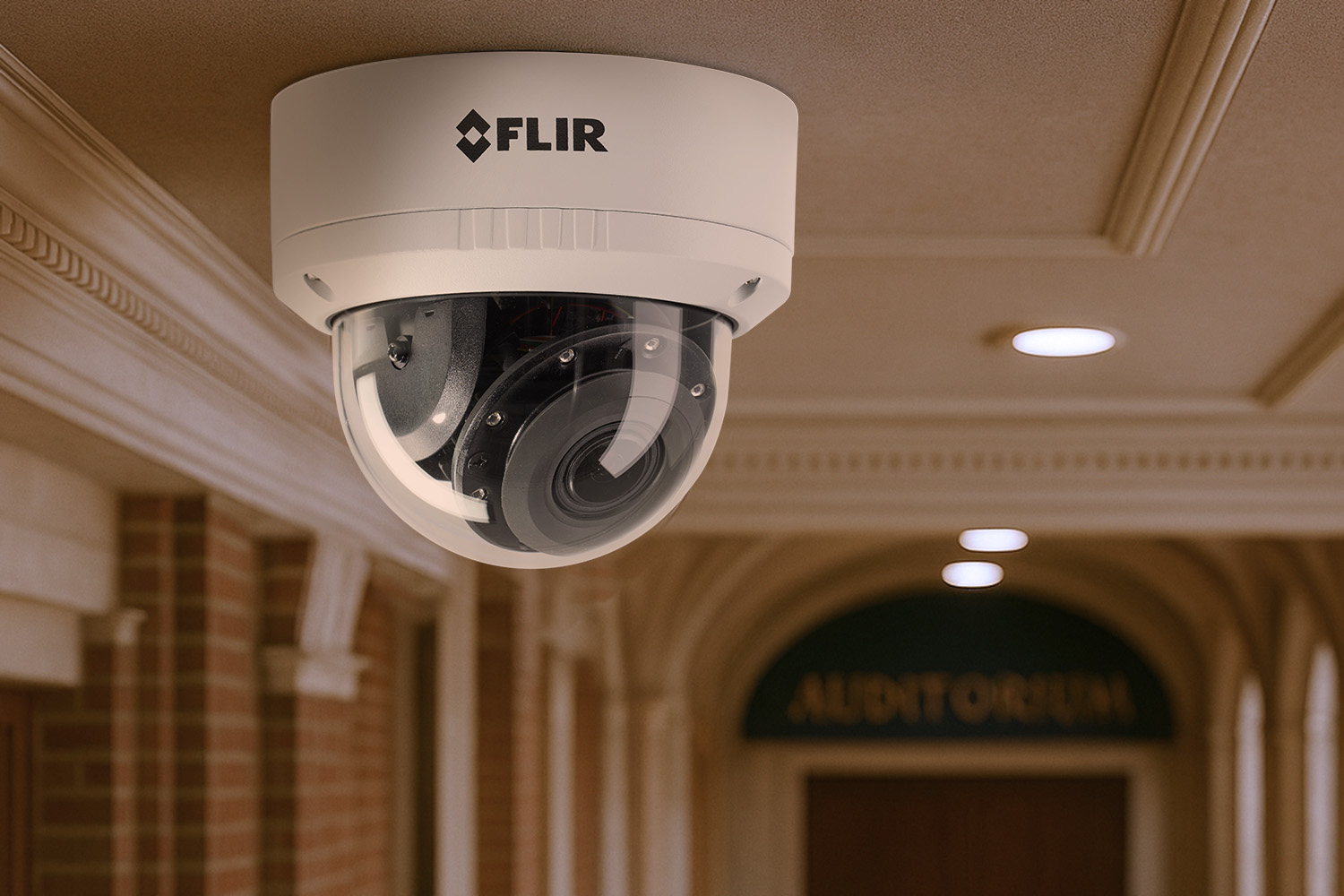 Product showcase image